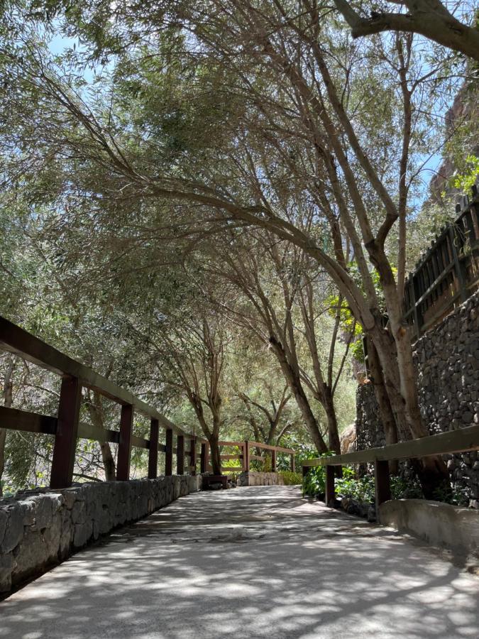 Guayadeque Ca'juani Casa de Campo
